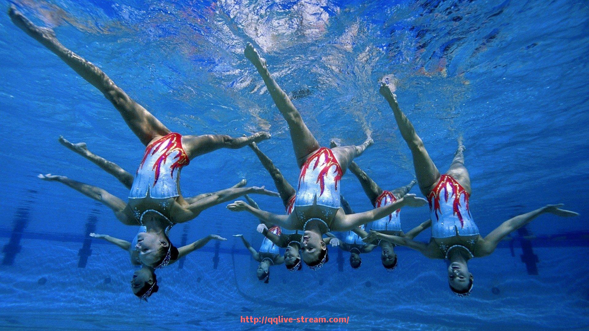 企鹅直播-健身器材的使用注意事项：安全使用健身器材的建议与技巧