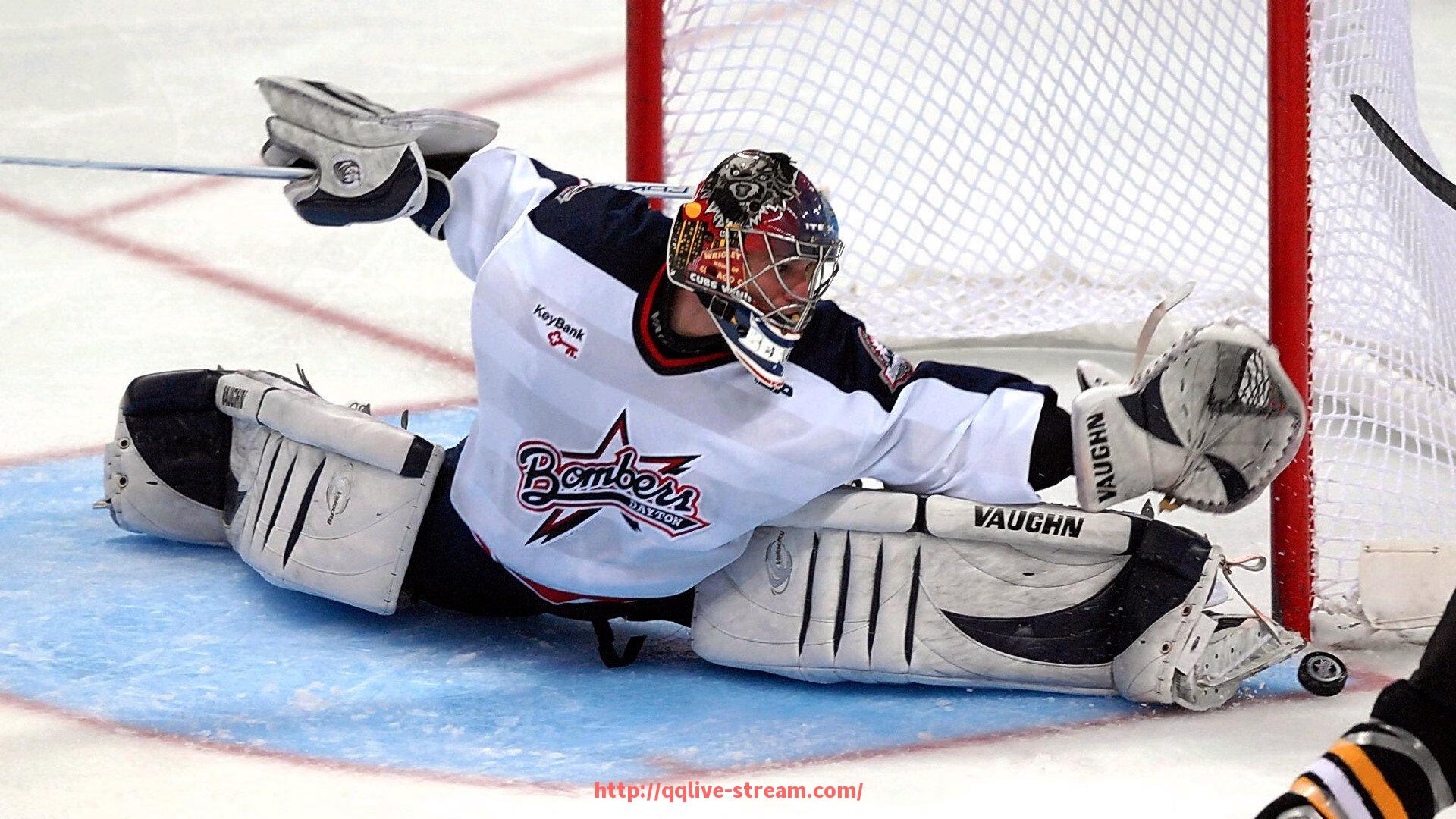 企鹅直播-合唱响彻球场！世俱杯球迷专属助威歌曲现场实录